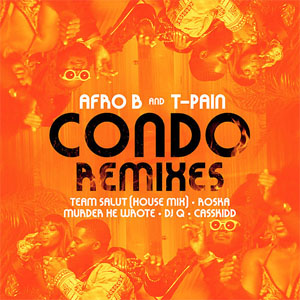 Disco Condo (Remixes) de Afrob