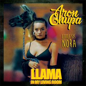 Disco Llama In My Living Room de AronChupa