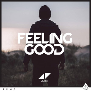 Disco Feeling Good de Avicii