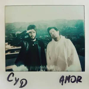 Disco Amor de Cali y El Dandee