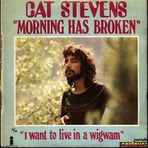 Disco Morning Has Broken de Cat Stevens
