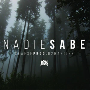 Disco Nadie Sabe de Ceaese