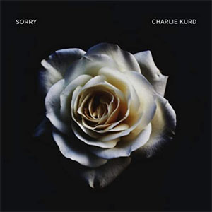Disco Sorry de Charlie Kurd