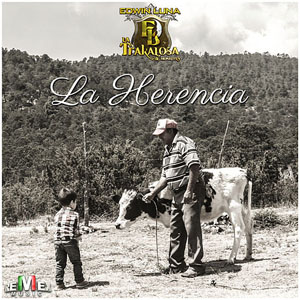 Disco La Herencia de Edwin Luna