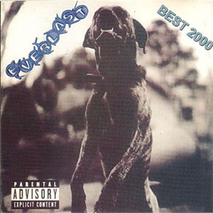 Disco Best 2000 de Everlast