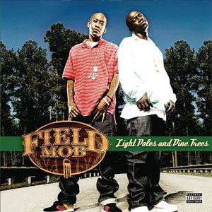 Disco Lightpoles de Field Mob