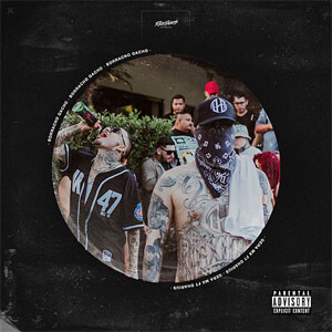 Disco Borracho Gacho de Gera MX