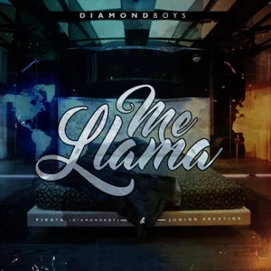 Disco Me Llamas de Junior Prestige