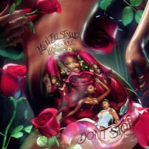 Disco Don't Stop de Megan Thee Stallion