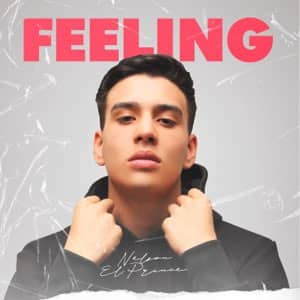 Disco Feeling de Nell