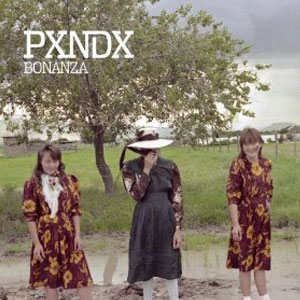 Disco Bonanza de Pxndx