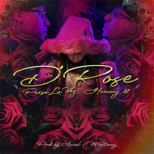 Disco D'Rose de Persa La Voz 
