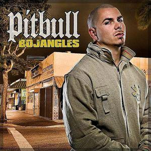 Disco Bojangles de Pitbull