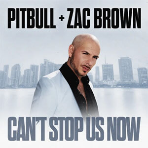 Disco Can't Stop Us Now de Pitbull