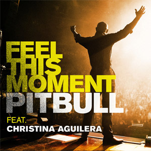 Disco Feel This Moment de Pitbull