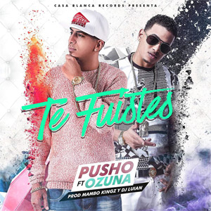 Disco Te Fuistes de Pusho