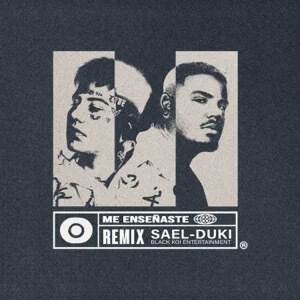 Disco Me Enseñaste (Remix) de Sael