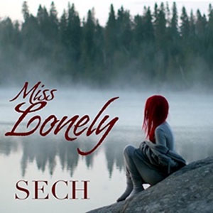 Disco Miss Lonely de Sech