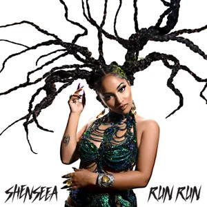 Disco Run Run de Shenseea