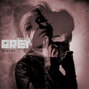 Disco Dance Without You (Remixes) de Skylar Grey