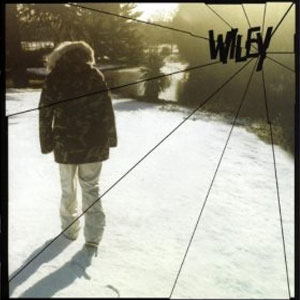 Disco Treddin On Thin Ice de Wiley
