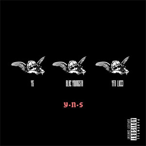 Disco YNS de YG