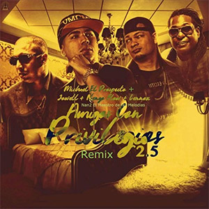 Álbum Amigos Con Privilegios (Remix 2.5) de Zyron